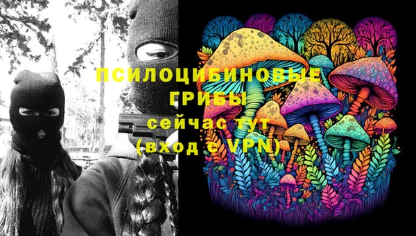 синтетический гашиш Алексеевка