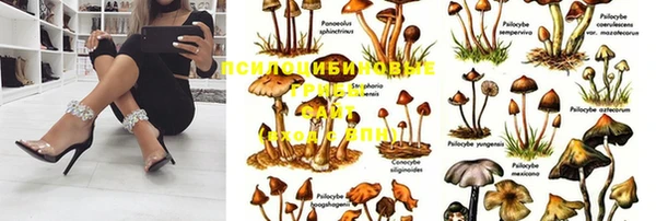 молекула духа Алзамай