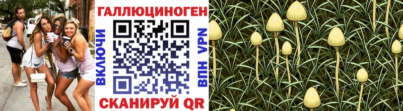 Галлюциногенные грибы Magic Shrooms  наркотики  блэк спрут как войти  Навашино 
